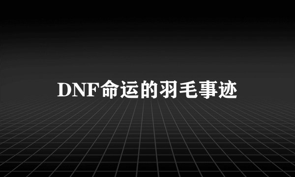 DNF命运的羽毛事迹