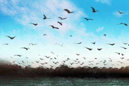 朝阳群众是什么意思，朝阳区群众是什么梗