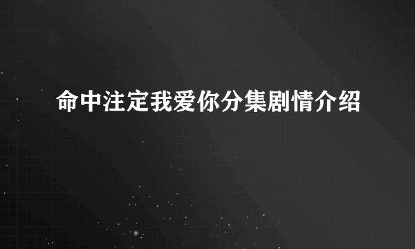 命中注定我爱你分集剧情介绍
