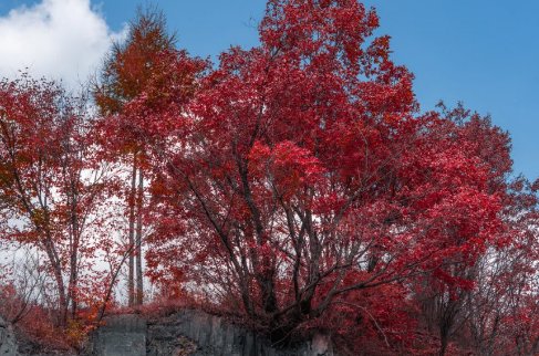 本溪有什么好玩的地方景点