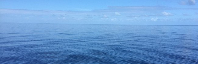 印度洋和太平洋哪个生物多？