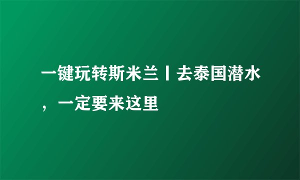 一键玩转斯米兰丨去泰国潜水，一定要来这里