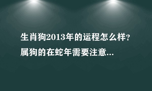 生肖狗2013年的运程怎么样？属狗的在蛇年需要注意什么呢？
