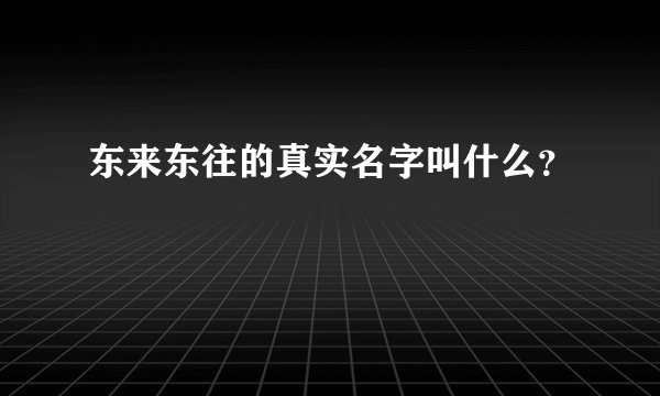 东来东往的真实名字叫什么？