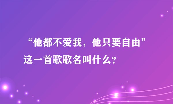 “他都不爱我，他只要自由”这一首歌歌名叫什么？