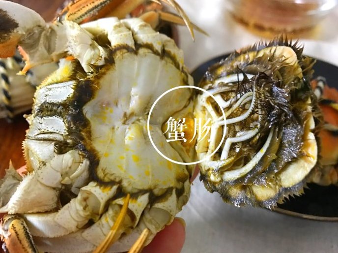 螃蟹哪些部位不能吃图