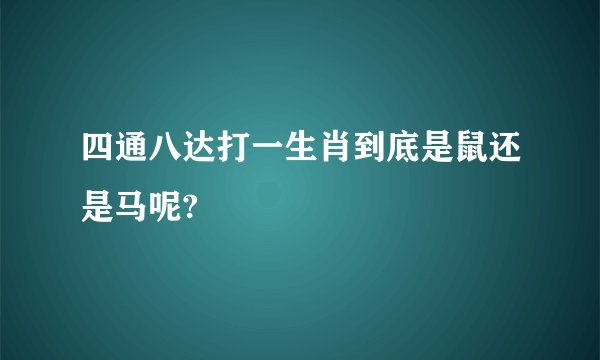 四通八达打一生肖到底是鼠还是马呢?