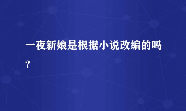 一夜新娘是根据小说改编的吗？