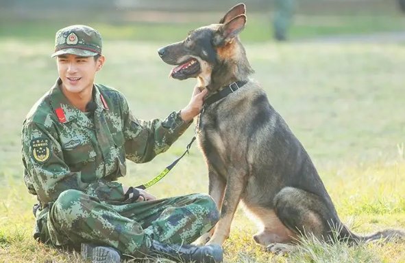 神犬奇兵演员表全部