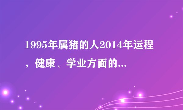 1995年属猪的人2014年运程，健康、学业方面的运势怎么样？
