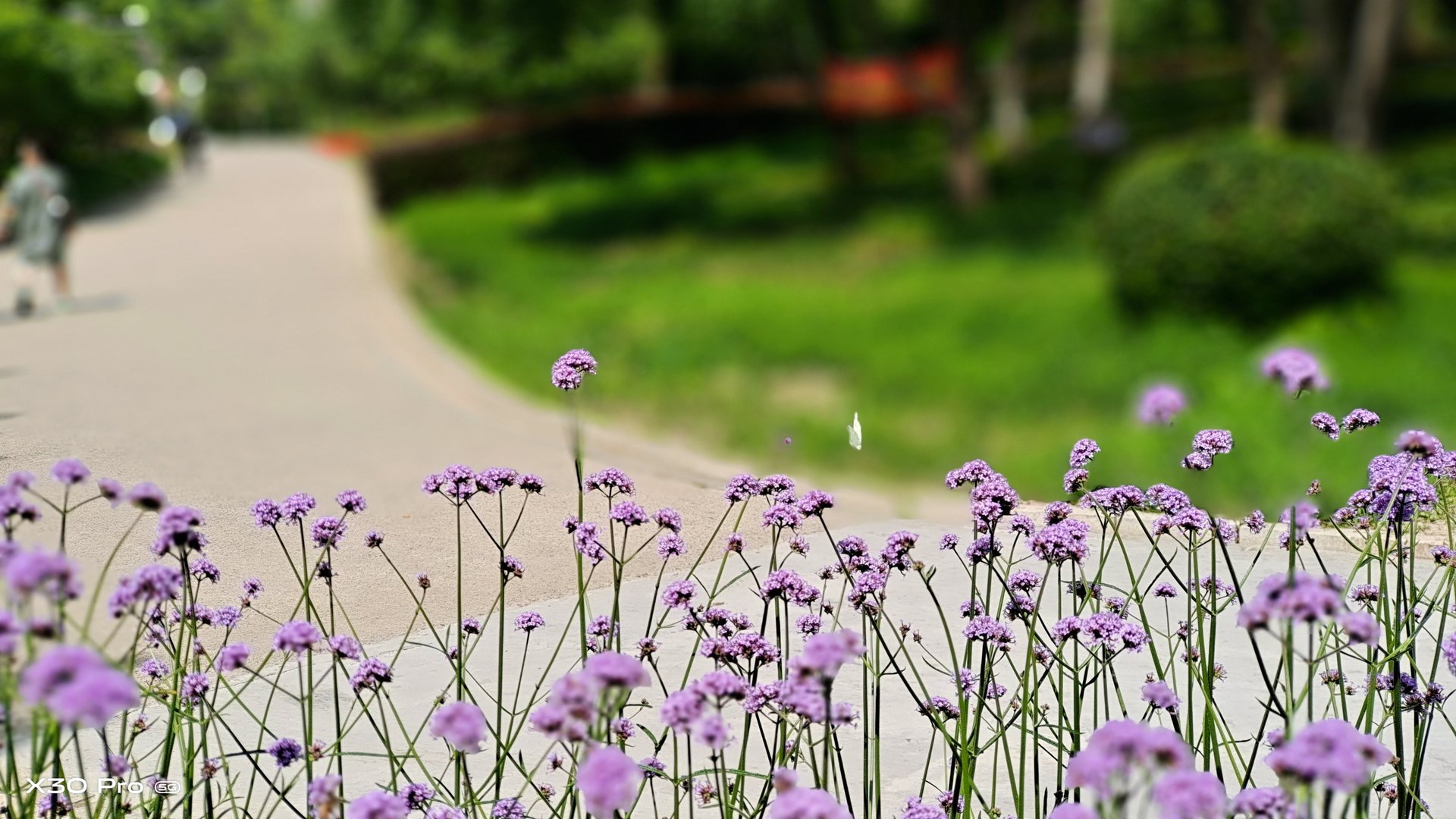 第1至第31届奥运会分别是哪一年，哪一个地方举办？