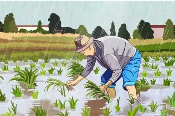 卒岁穷年指什么