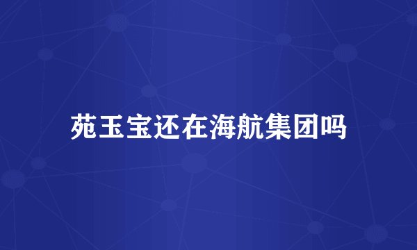 苑玉宝还在海航集团吗