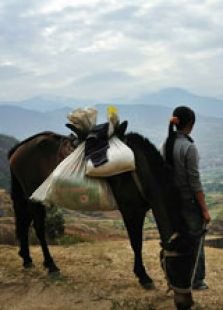 马产平的教育现状