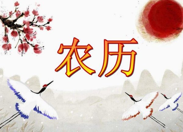 1986年日历农历阳历表