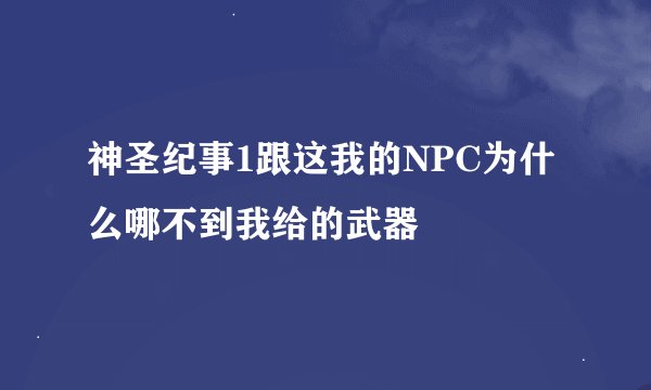 神圣纪事1跟这我的NPC为什么哪不到我给的武器