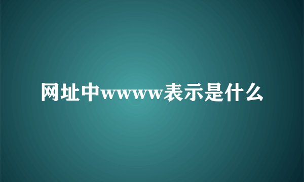 网址中wwww表示是什么