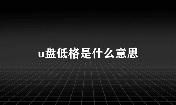 u盘低格是什么意思