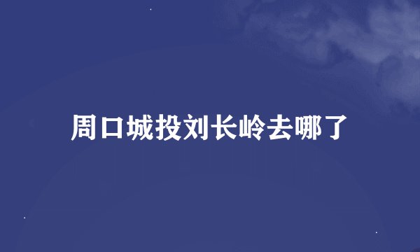 周口城投刘长岭去哪了
