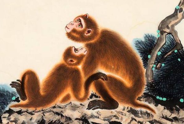 龟鹤之年形容什么生肖