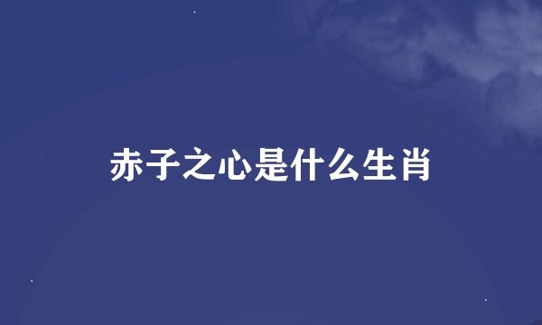 赤子之心是什么生肖