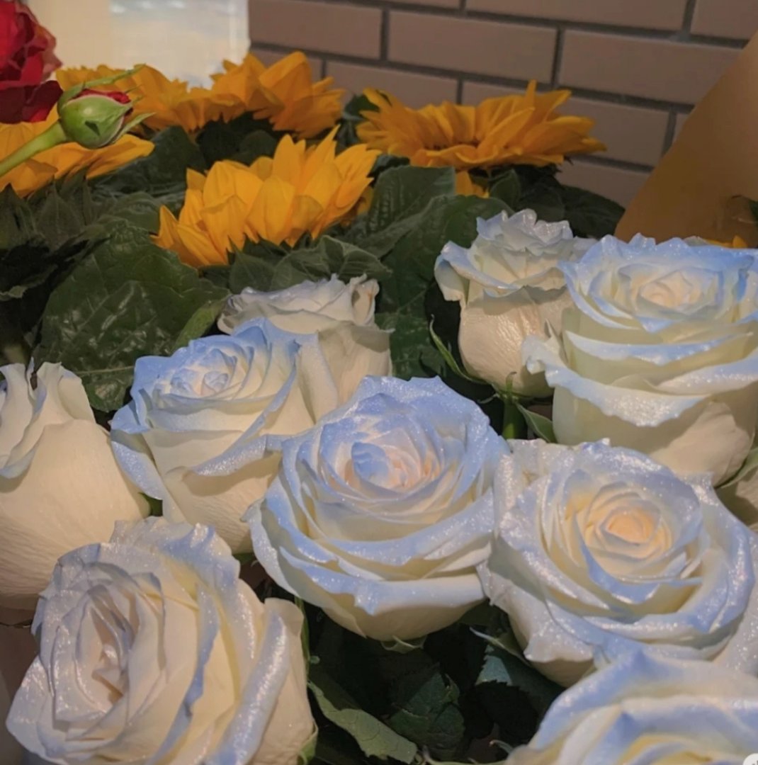 女孩子可以随便接受玫瑰花吗？