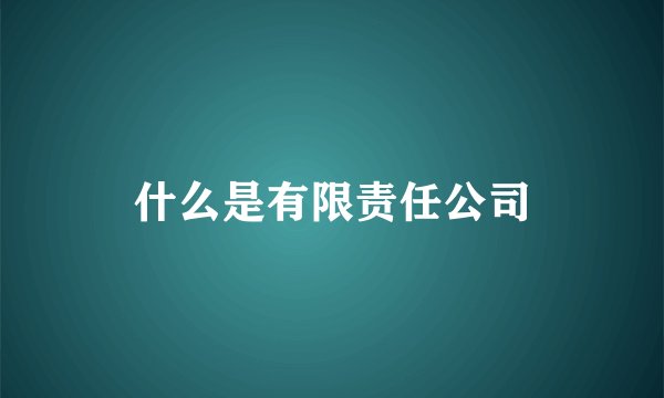 什么是有限责任公司