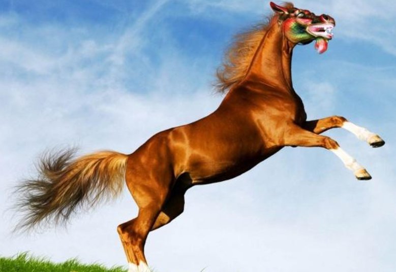 火上添油是什么动物