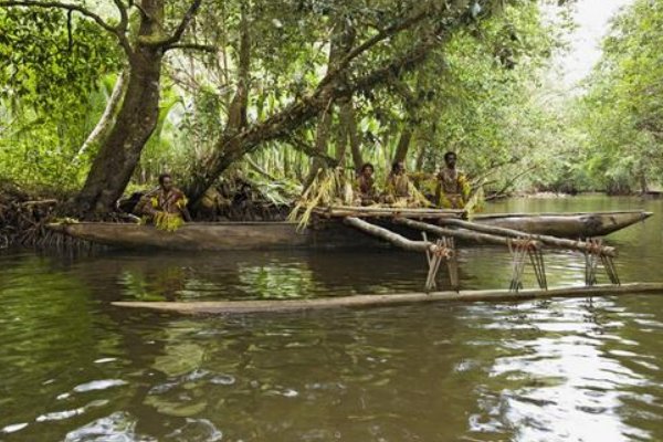 独木成船双木林什么意思