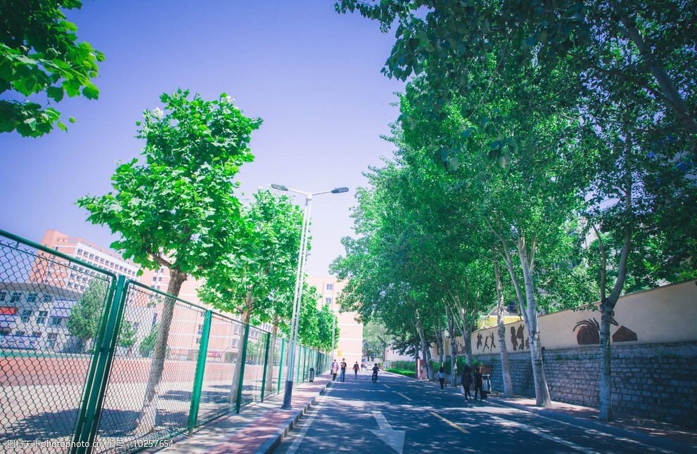 大学生的主要任务是什么