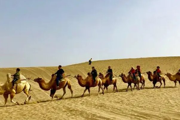 联通万里的钢铁骆驼队指什么