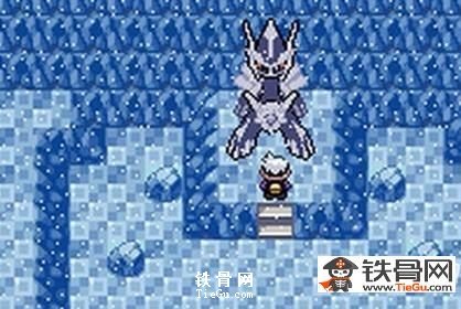 迪亚鲁加怎么抓_迪亚鲁加抓取攻略