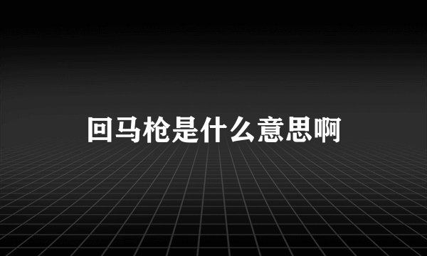 回马枪是什么意思啊