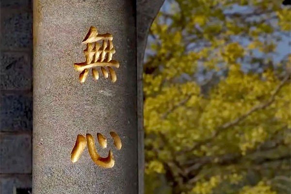 无心之过什么意思