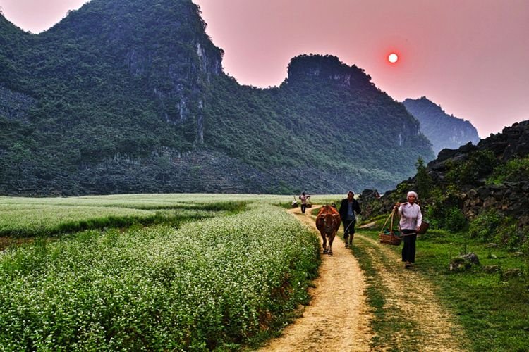 走在乡间的小路上是什么歌？