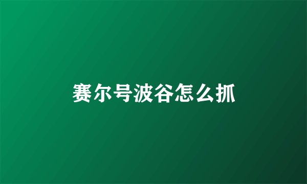 赛尔号波谷怎么抓