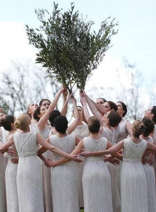 抛橄榄枝是什么意思？