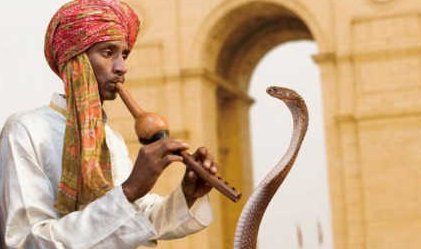 蛇为什么怕听音乐