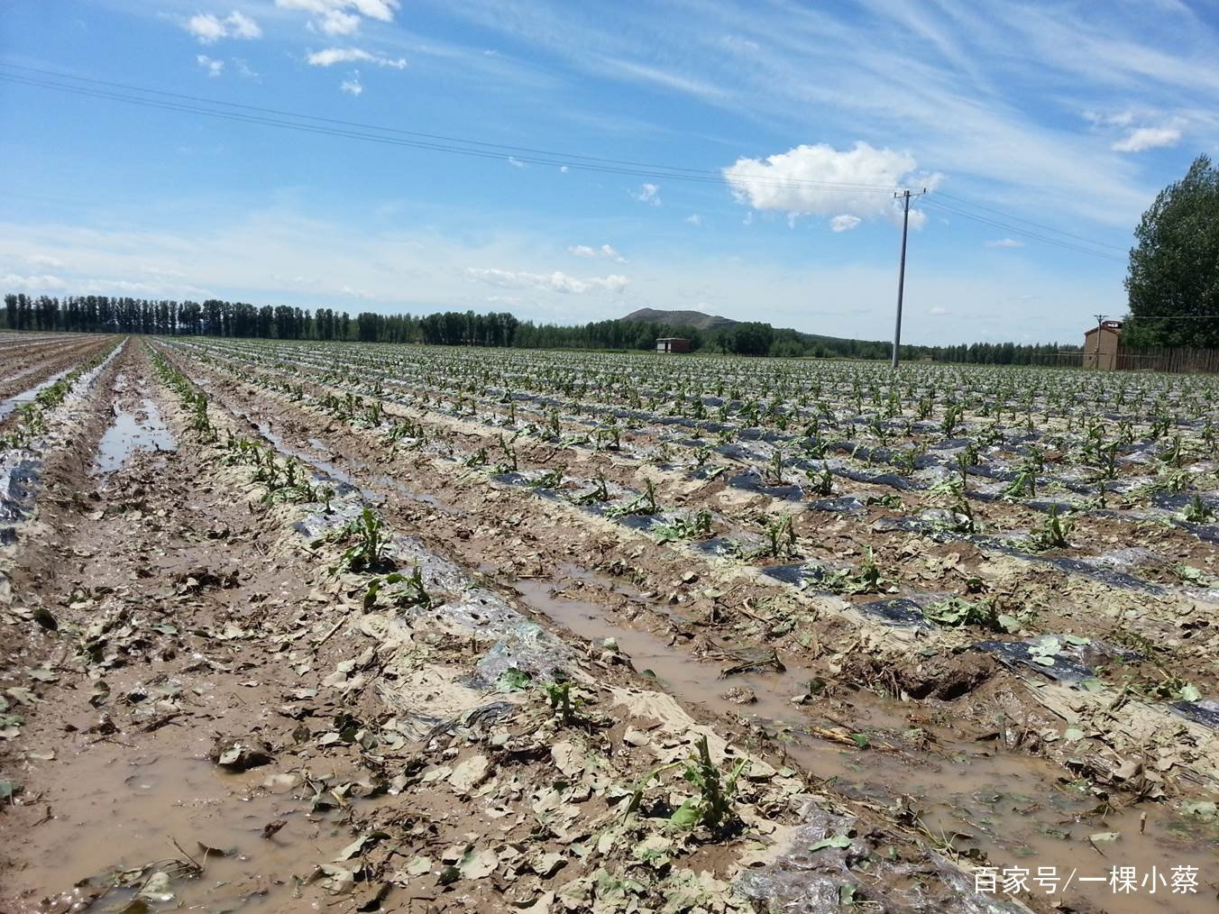 我国9省或有雷暴冰雹，这9个省份分别是哪里？