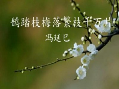 一响凭栏人不见鲛绡掩泪思量遍出自谁的作品