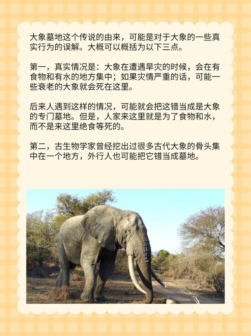 大象墓地是真的吗