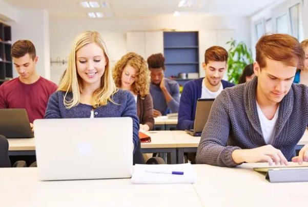 bachelor degree 是什么学历