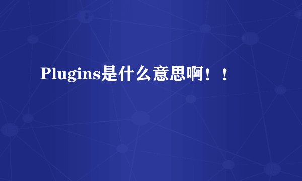 Plugins是什么意思啊!!