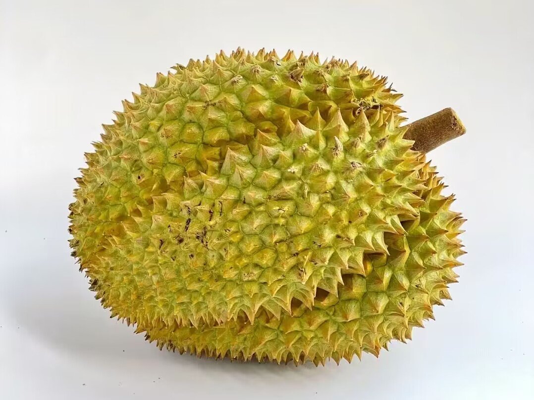 通常来说榴莲的气味越浓