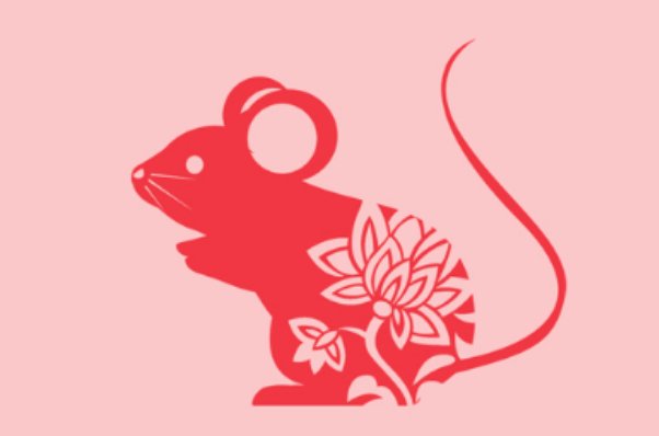 盛筵必散什么生肖