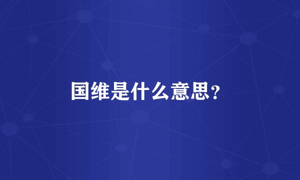 国维是什么意思？