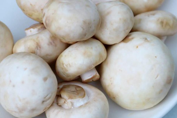 小鸡考考你口蘑中的口字源于