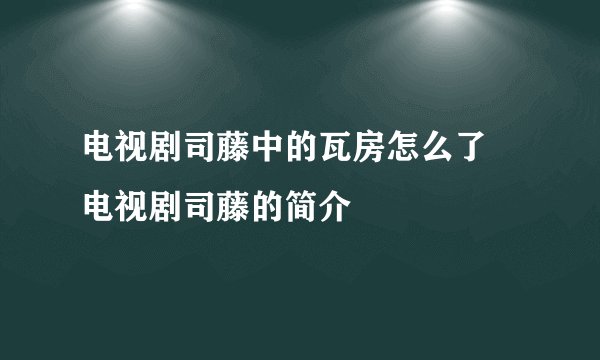 电视剧司藤中的瓦房怎么了 电视剧司藤的简介