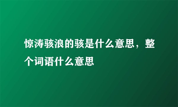 惊涛骇浪的骇是什么意思，整个词语什么意思
