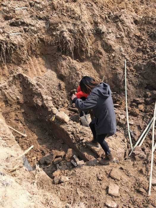 挖掘机挖到棺材了怎么办？